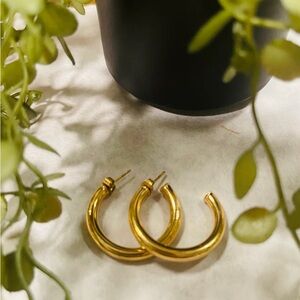Elegant Gold Hoop Earrings